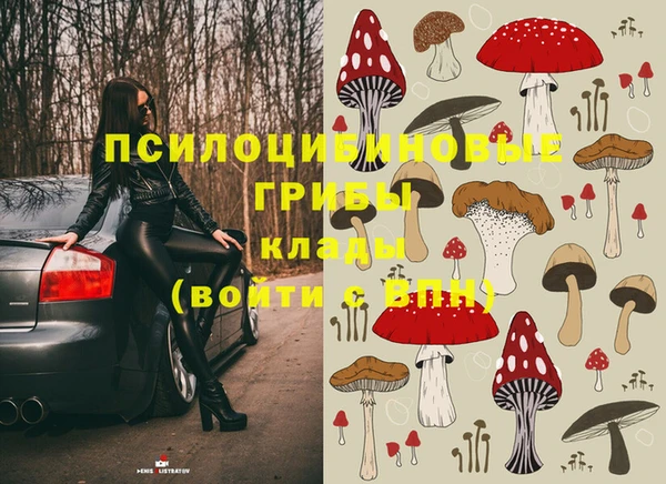 Альфа ПВП Абинск