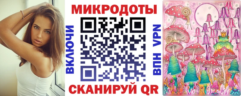 Псилоцибиновые грибы Psilocybe Знаменск